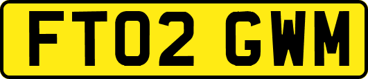 FT02GWM