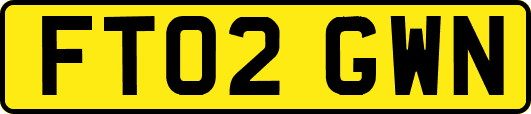 FT02GWN