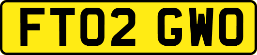 FT02GWO