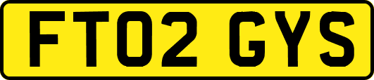 FT02GYS