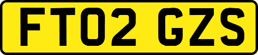 FT02GZS