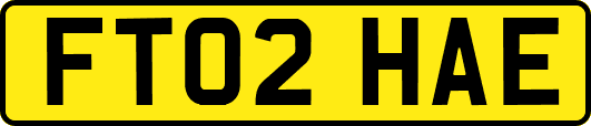 FT02HAE