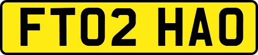 FT02HAO
