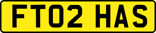 FT02HAS