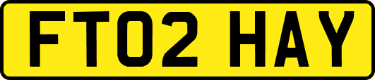 FT02HAY