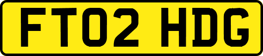FT02HDG