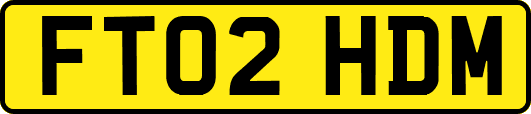 FT02HDM