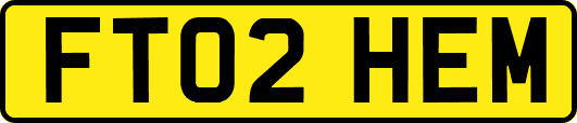 FT02HEM