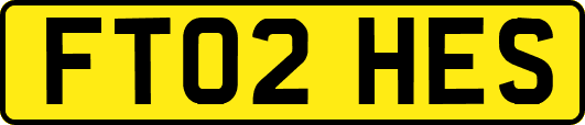 FT02HES