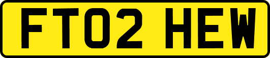 FT02HEW