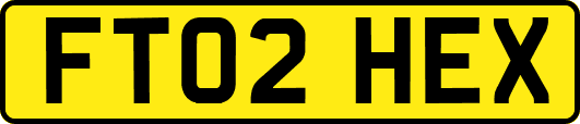 FT02HEX