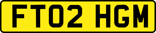 FT02HGM