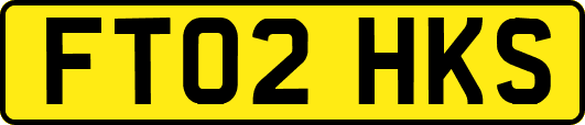 FT02HKS