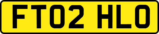 FT02HLO