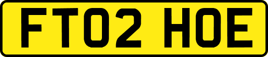 FT02HOE