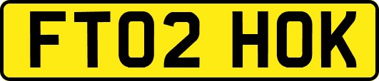 FT02HOK