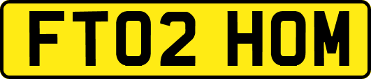 FT02HOM