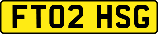FT02HSG