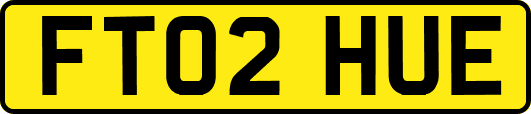 FT02HUE