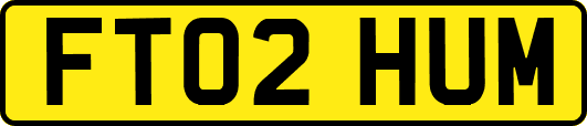 FT02HUM