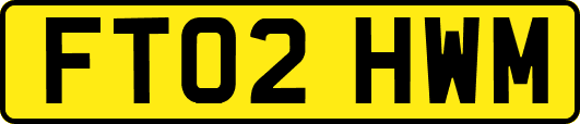FT02HWM