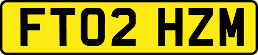 FT02HZM