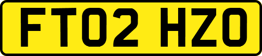 FT02HZO