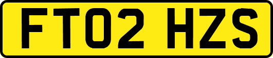 FT02HZS