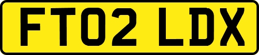 FT02LDX