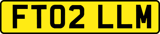 FT02LLM