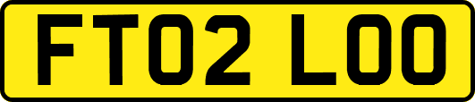 FT02LOO