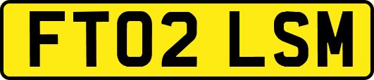 FT02LSM