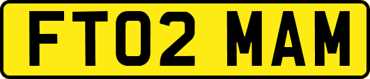 FT02MAM