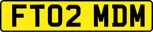FT02MDM