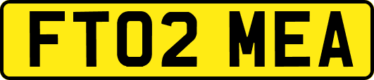 FT02MEA