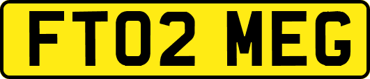 FT02MEG