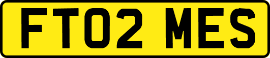 FT02MES