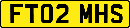 FT02MHS
