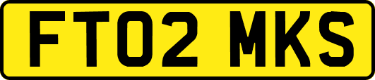 FT02MKS