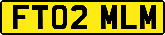 FT02MLM