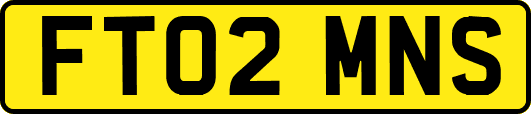 FT02MNS