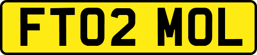 FT02MOL