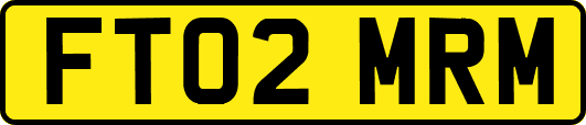 FT02MRM