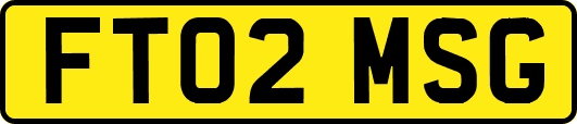 FT02MSG