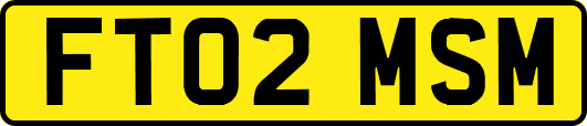 FT02MSM