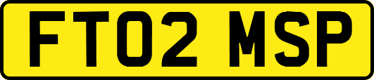 FT02MSP