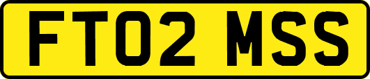 FT02MSS