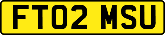 FT02MSU