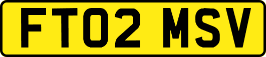 FT02MSV