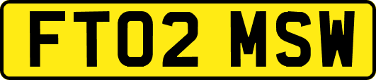 FT02MSW